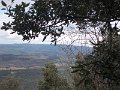 DSCN3951