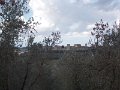 DSCN3972