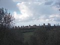 DSCN3973