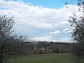 DSCN3977