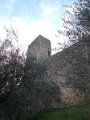 DSCN3996