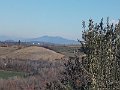 DSCN0196
