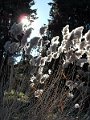 DSCN0198