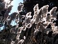 DSCN0199