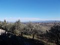 DSCN0224