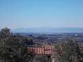 DSCN0225