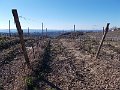 DSCN0250