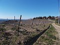 DSCN0251