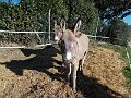DSCN0255