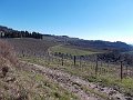 DSCN0258
