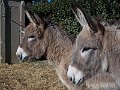 DSCN0259