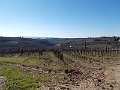 DSCN0264