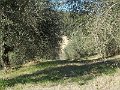 DSCN0265