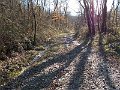 DSCN0267