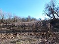 DSCN0273