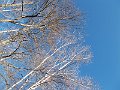 DSCN0274