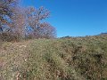 DSCN0280