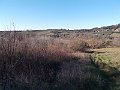 DSCN0283