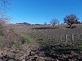 DSCN0289