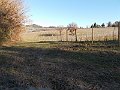 DSCN0290