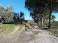DSCN0307