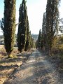 DSCN0314