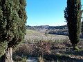 DSCN0316