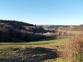 DSCN0317