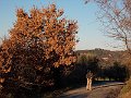 DSCN0330