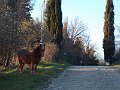 DSCN0337