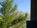 DSCN1123