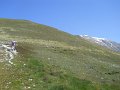 DSCN1146