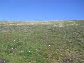 DSCN1148