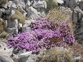 DSCN1201