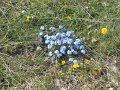 DSCN1269