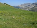 DSCN1308