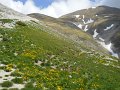 DSCN1362