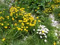 DSCN1366