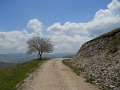DSCN1375