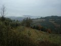 DSC01496