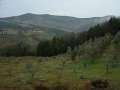DSC01497
