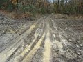 DSC01507