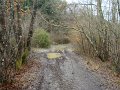 DSC01512