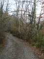 DSC01521