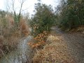 DSC01526
