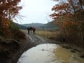 DSC01529