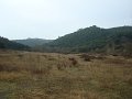 DSC01531
