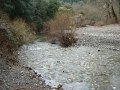 DSC01538