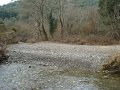 DSC01539