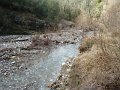 DSC01550